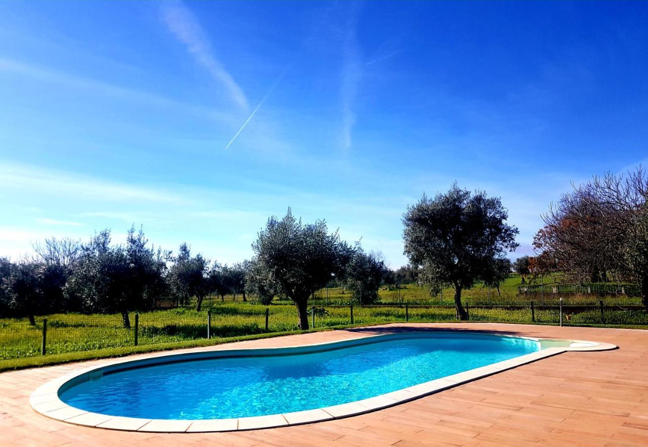 Oliveira Country House Figueira e Barros Eksteriør billede