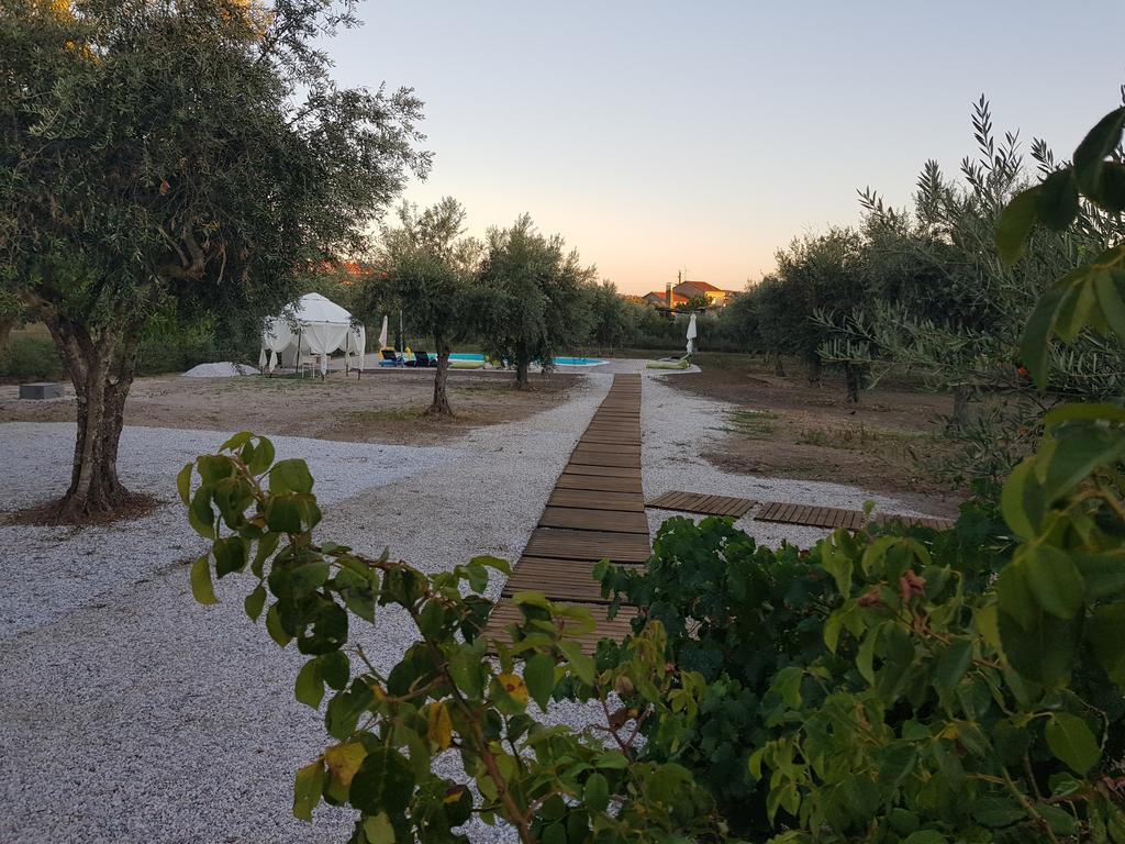 Oliveira Country House Figueira e Barros Eksteriør billede